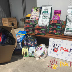 PODARUNKI OD FIRMY ALK ABELLO