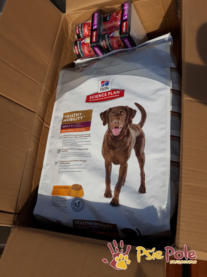 PODARUNKI OD FIRMY RG INŻYNIERIA PODARUNKI OD FIRMY RG INŻYNIERIA