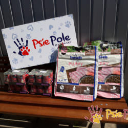 PODARUNKI OD FIRMY RG INŻYNIERIA PODARUNKI OD FIRMY RG INŻYNIERIA