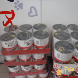 PODARUNKI OD FUNDACJI PODARUNKI OD FUNDACJI