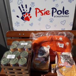 PODARUNKI OD ŚWIĘTEGO LETNIEGO MIKOŁAJA