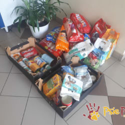 PODARUNKI ze szkoły PODARUNKI ze szkoły