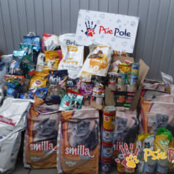 FANTASTYCZNE PODARUNKI