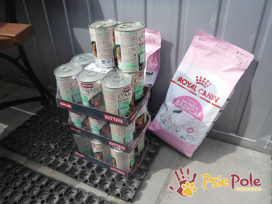 PODARUNKI OD KARMIMY PSIAKI :) PODARUNKI OD KARMIMY PSIAKI :)