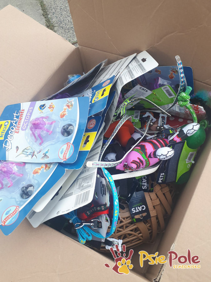 PODARUNKI ZE SKLEPU AUCHAN-M1 KRAKÓW PODARUNKI ZE SKLEPU AUCHAN-M1 KRAKÓW