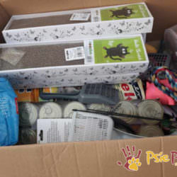 PODARUNKI OD ACCENTURE KRAKÓW