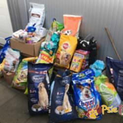 SUPER PODARUNKI OD MAĆKA