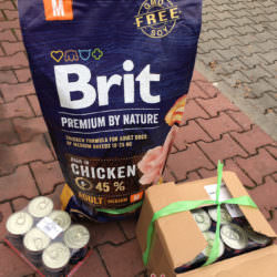 PODARUNKI OD DUDDUSIA PODARUNKI OD DUDDUSIA