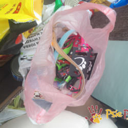 PODARUNKI DLA SCHRONISKA