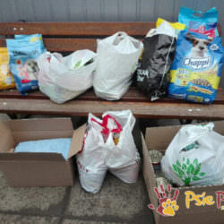 PODARUNKI ZE SZKOŁY