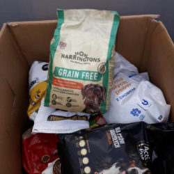 PODARUNKI ZE SZKOŁY PODARUNKI ZE SZKOŁY