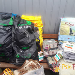 WSPANIAŁE PODARUNKI