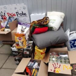 PODARUNKI Z PRZEDSZKOLA MONTESSORI PODARUNKI Z PRZEDSZKOLA MONTESSORI