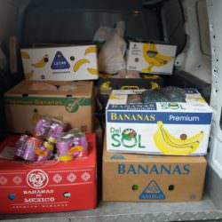 PODARUNKI Z ALMY PODARUNKI Z ALMY