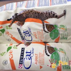 PODARUNKI OD FIRMY PODARUNKI OD FIRMY