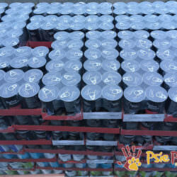 FUNDACJA MOŻESZ NA MNIE LICZYĆ I PANI PUPILOWA FUNDACJA MOŻESZ NA MNIE LICZYĆ I PANI PUPILOWA