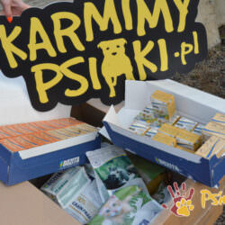 KARMA BOZITA Z KARMIMY PSIAKI