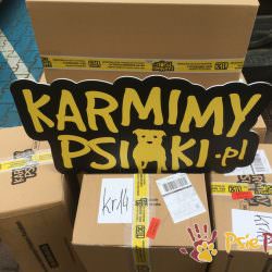 CHARYTATYWNA CHOINKA – FINAŁ