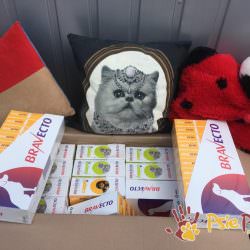 KONCENTRATOR TLENU WSPARCIE GAINETÓW