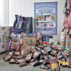 DARY Z LEOPARDUSA DARY Z LEOPARDUSA