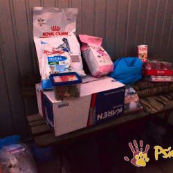 SUPER PODARUNKI SUPER PODARUNKI