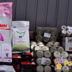 PODARUNKI FUNDACYJNE