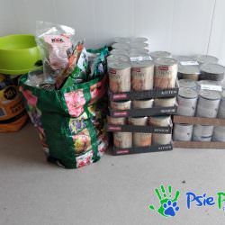 PODARUNKI ZE SZKOŁY WALDORFSKIEJ