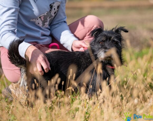 SZCZOTKUŚ SZCZOTKUŚ