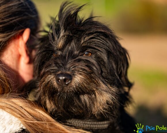 KOFFI rezerwacja KOFFI rezerwacja