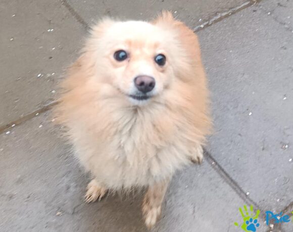 ALEXIS rezerwacja ALEXIS rezerwacja