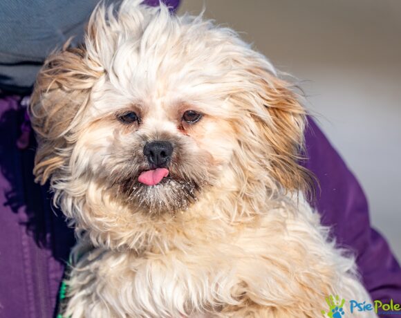 BARI z Chrzanowa BARI z Chrzanowa