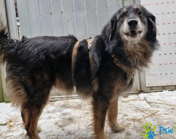 BUNTU z Zabierzowa BUNTU z Zabierzowa