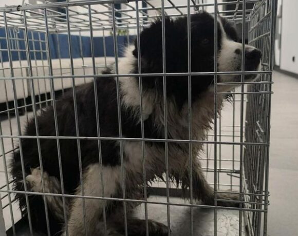 MAJA z Biskupic MAJA z Biskupic