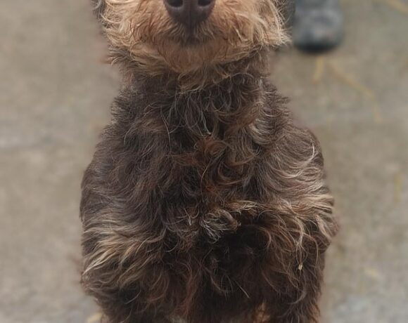 TERI rezerwacja TERI rezerwacja