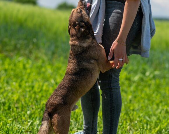 BARTEK