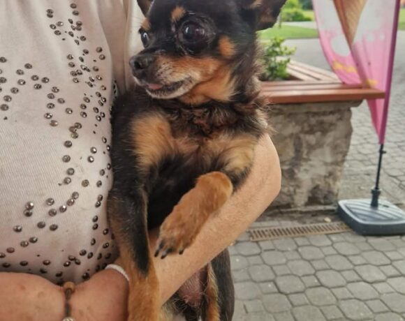 FUNIA z Miechowa